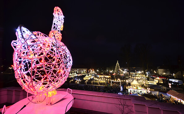 Foto: Thomas Ahrens, Lizenz: TKO gGmbH