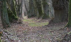 Weltgästeführertag in Rheinsberg