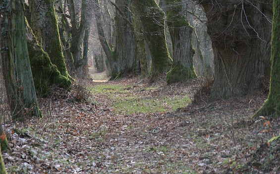 Foto: Jeanette Lehmann, Lizenz: Jeanette Lehmann