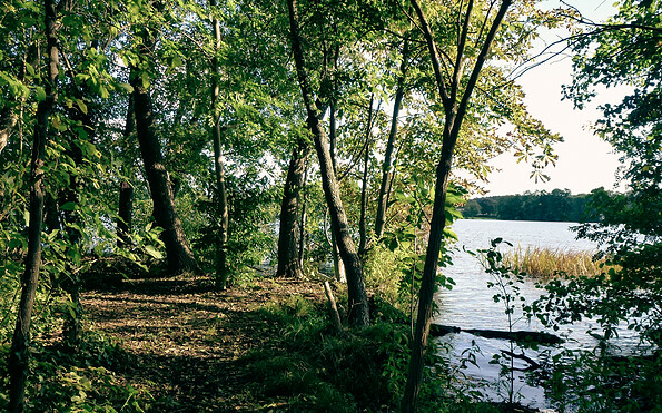 Foto: Petra Förster, Lizenz: Tourismusverband Dahme-Senenland e.V.