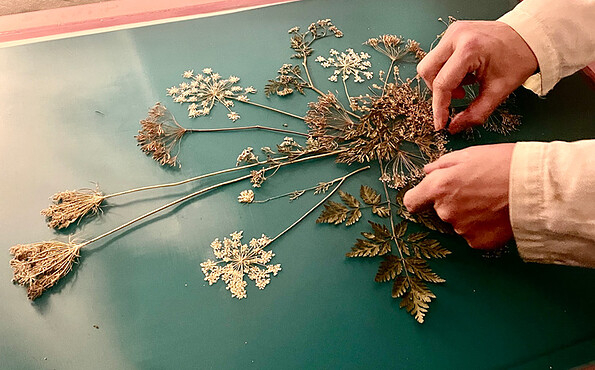 Foto: Susan Krieger, Lizenz: Susan Krieger