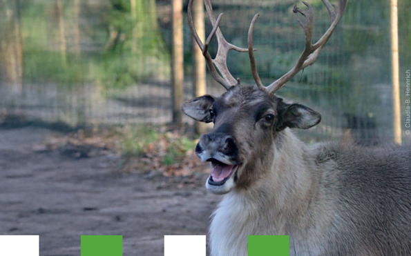 Foto: Zoo Eberswalde