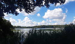 RangerTour: Landschaftswandeln
