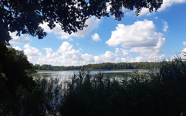 Foto: Susann Nitzsche, Naturwacht Brandenburg, Lizenz: 8Susann Nitzsche, Naturwacht Brandenburg