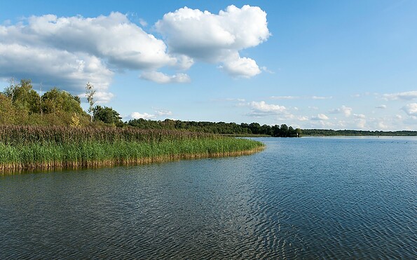 Foto: Juliane Frank, Lizenz: Tourismusverband Dahme-Seenland e.V.