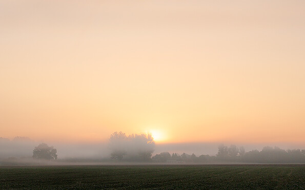 Foto: Stefan Hessheimer