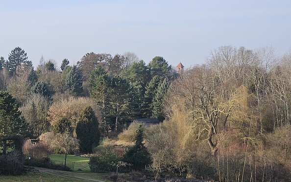 Foto: Andreas Lauter, Lizenz: NaturSchutzFonds Brandenburg