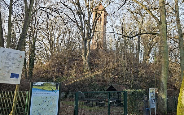 Foto: Andreas Lauter, Lizenz: NaturSchutzFonds Brandenburg
