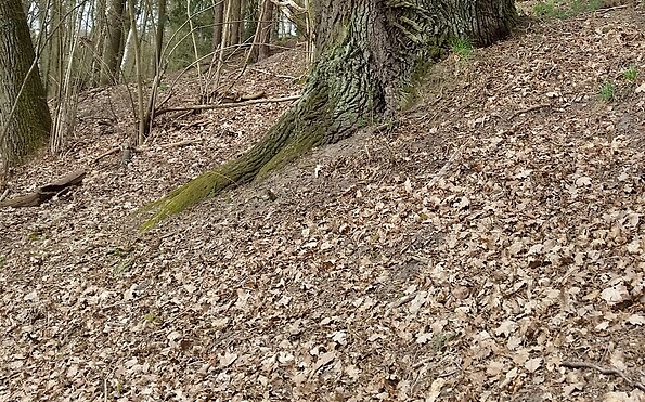 Foto: Hannes Hause, Lizenz: NaturSchutzFonds Brandenburg