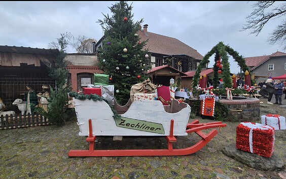 Foto: Marina Wesolowski