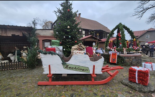 Foto: Marina Wesolowski