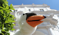 Schlossmuseum Oranienburg: Schwan Heinrich und sein Prinz Friedrich