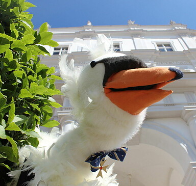 Schlossmuseum Oranienburg: Schwan Heinrich und sein Prinz Friedrich