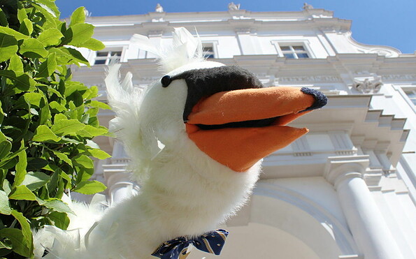 Handpuppe Heinrich von Schwan, Foto: Stefanie Kreutzer, Lizenz: Tourismus und Kultur Oranienburg gGmbH TKO