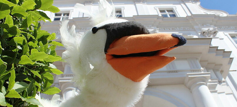 Schlossmuseum Oranienburg: Schwan Heinrich und sein Prinz Friedrich