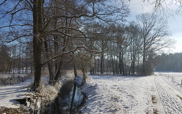 Foto: Linda Geilich, Lizenz: MuT e.V. - Marketing und Tourismus Guben e.V.