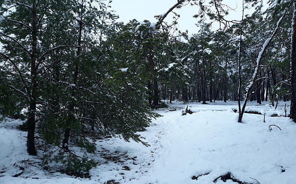 Foto: Katharina Laugks, Lizenz: MuT e.V. - Marketing und Tourismus Guben e.V.