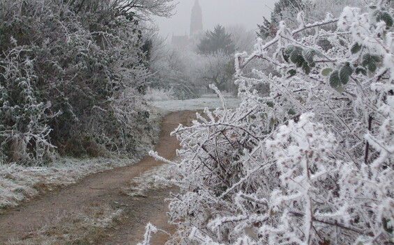Foto: EKBO, Lizenz: EKBO