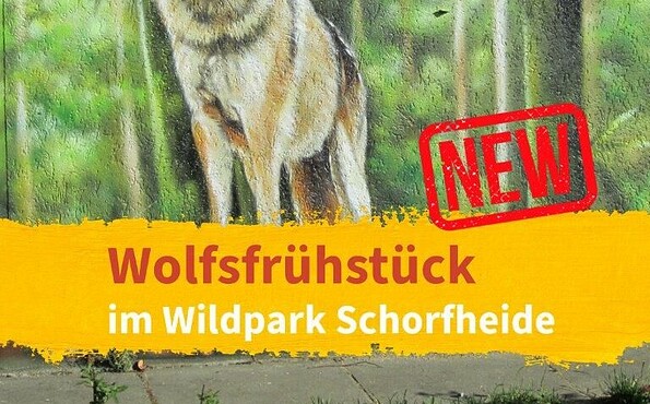 Wolfsfrühstück, Foto: Wildpark Schorfheide, Lizenz: Wildpark Schorfheide