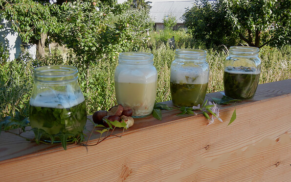 Foto: Marina Delzer, Lizenz: grün &amp; wild