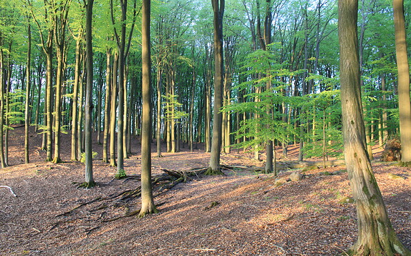 Foto: Marina Delzer, Lizenz: grün &amp; wild