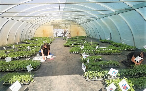 Foto: VERN e. V., Lizenz: VERN e. V.