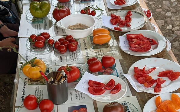 Foto: VERN e. V., Lizenz: VERN e. V.