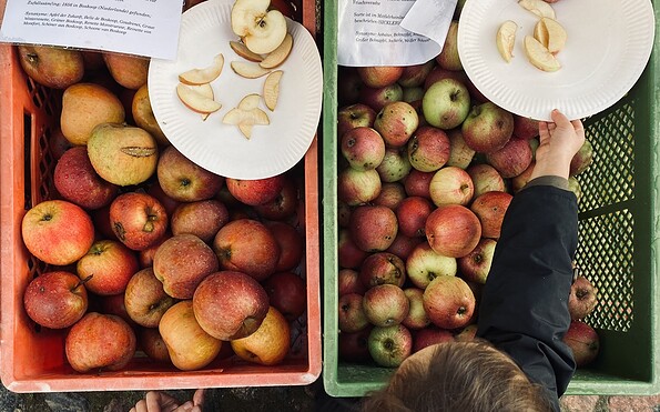 Foto: VERN e. V., Lizenz: VERN e. V.