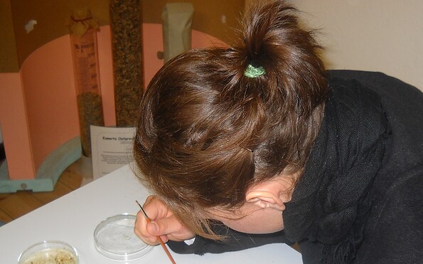 Foto: VERN e. V., Lizenz: VERN e. V.