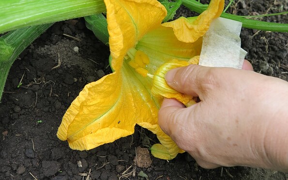 Foto: VERN e. V., Lizenz: VERN e. V.