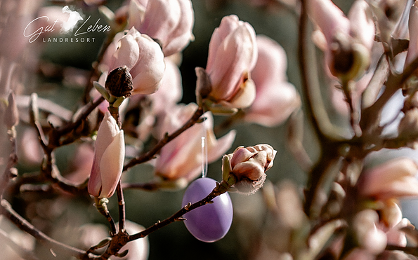 Foto: Mandy Westphal, Lizenz: Marie Leßnig