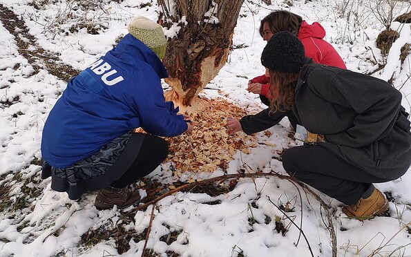 Foto: NABU BBM, Lizenz: NABU BBM