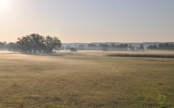 Atmosphäre in der Oderaue, Foto: M. Kreiling, Lizenz: Naturschutzfonds Brandenburg