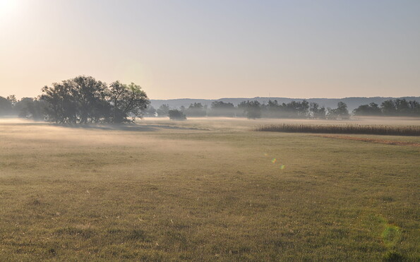 Atmosphäre in der Oderaue, Foto: M. Kreiling, Lizenz: Naturschutzfonds Brandenburg