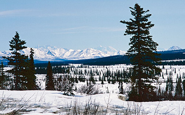 Foto: Thomas Meixner, Lizenz: Thomas Meixner