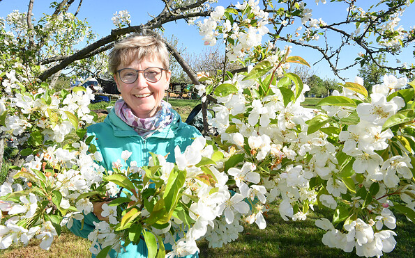 Foto: Veit Rösler, Lizenz: Naturpark Niederlausitzer Heidelandschaft