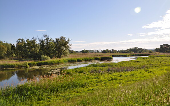 Lichtspiel in der Aue, Foto: Milena Kreiling, Lizenz: NaturSchutzFonds Brandenburg
