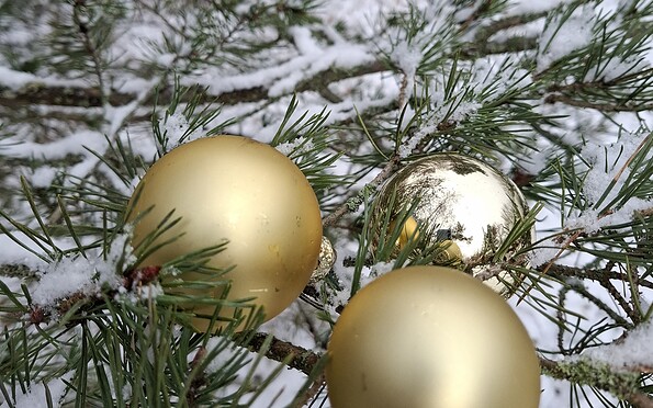 Foto: CMT Cottbus, Lizenz: CMT Cottbus