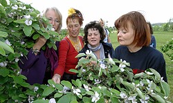Gartenplausch