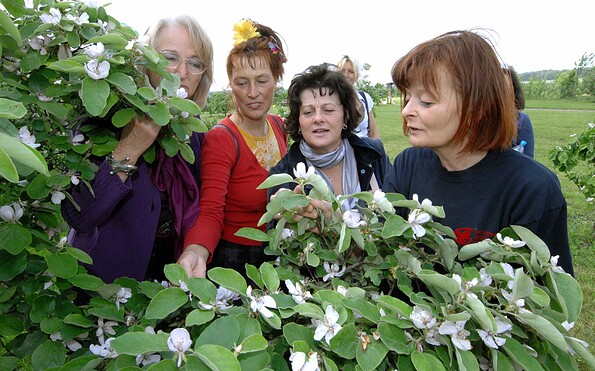 Foto: Veit Rösler, Lizenz: Veit Rösler