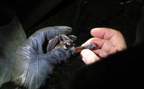 Foto: Rheinsberger Adventure Tours, Lizenz: Rheinsberger Adventure Tours