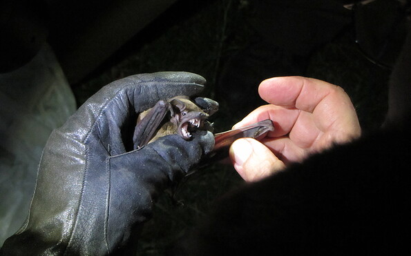 Foto: Rheinsberger Adventure Tours, Lizenz: Rheinsberger Adventure Tours