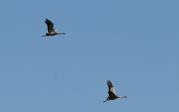 Foto: Cordula Schladitz, Lizenz: Cordula Schladitz
