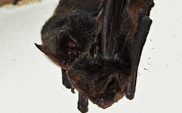 Foto: Maik Korreng, Lizenz: Maik Korreng