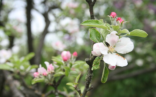 Foto: Eric Neuling, Lizenz: Eric Neuling