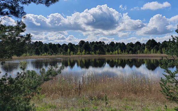 Foto: Stefan Röhrscheid, Lizenz: Stefan Röhrscheid