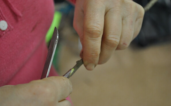 Foto: Andrea Opitz, Lizenz: Andrea Opitz