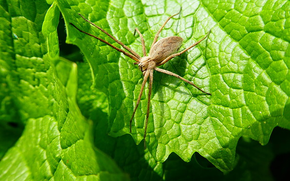 Foto: Larissa Trommer, Lizenz: Larissa Trommer
