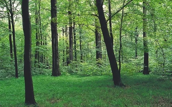 Foto: Jürgen Müller