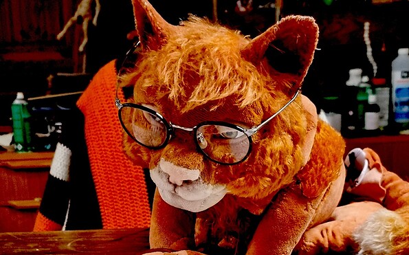 Foto: Mechtild Nienaber